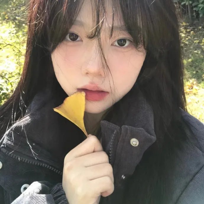 维京萨迦
